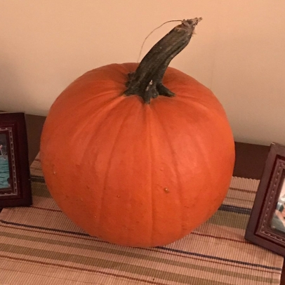 Our First Pumpkin