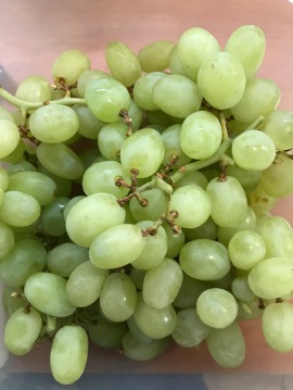 Grapes are so good!